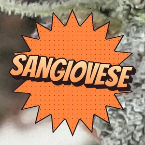 Sangiovese Cannabis Strain