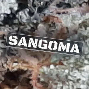 Sangoma Cannabis Strain