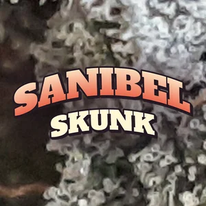Sanibel Skunk Cannabis Strain