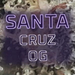 Santa Cruz OG Cannabis Strain