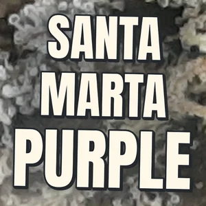 Santa Marta Purple Cannabis Strain