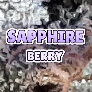 Sapphire Berry Cannabis Strain