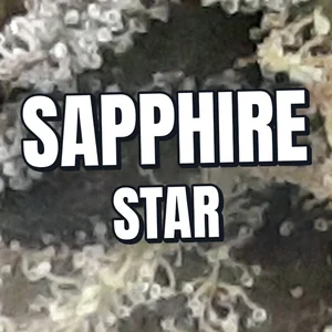 Sapphire Star Cannabis Strain
