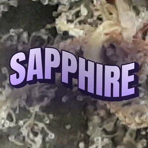 Sapphire Cannabis Strain