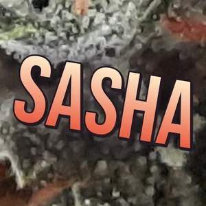 Sasha Cannabis Strain