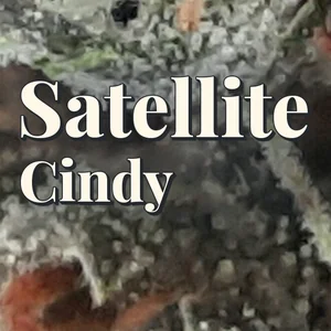 Satellite Cindy Cannabis Strain