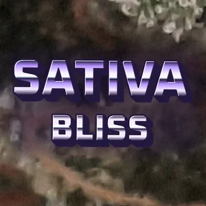 Sativa Bliss Cannabis Strain