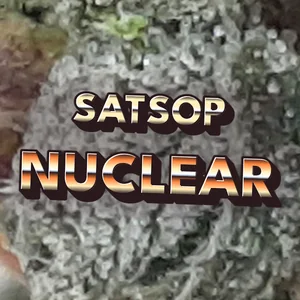 Satsop Nuclear Cannabis Strain