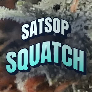 Satsop Squatch Cannabis Strain