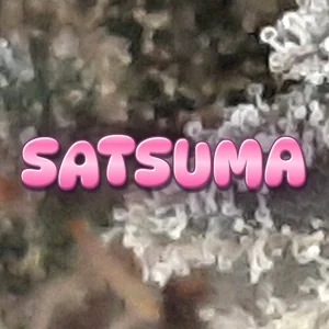 Satsuma Cannabis Strain
