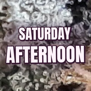 Saturday Afternoon Cannabis Strain