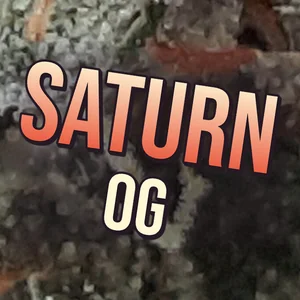 Saturn OG Cannabis Strain