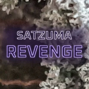Satzuma Revenge Cannabis Strain