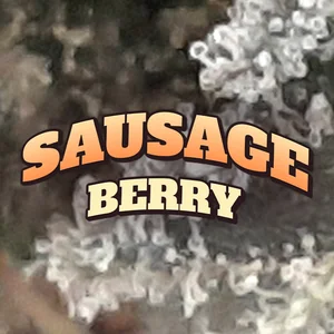 Sausage Berry Cannabis Strain