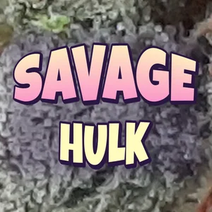 Savage Hulk Cannabis Strain