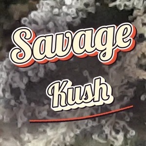 Savage Kush Cannabis Strain