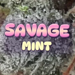 Savage Mint Cannabis Strain