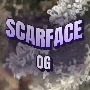 Scarface OG Cannabis Strain