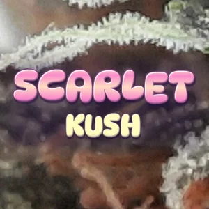 Scarlet Kush Cannabis Strain