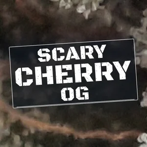 Scary Cherry OG Cannabis Strain