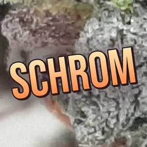 Schrom Cannabis Strain