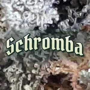 Schromba Cannabis Strain