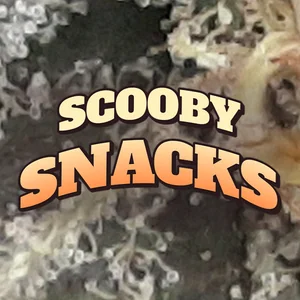 Scooby Snacks Cannabis Strain