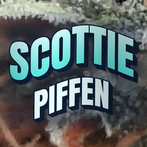 Scottie Piffen Cannabis Strain