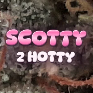 Scotty 2 Hotty Cannabis Strain