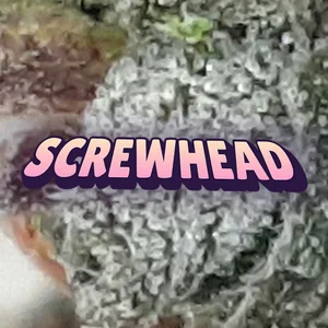 Screwhead Cannabis Strain