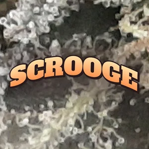 Scrooge Cannabis Strain