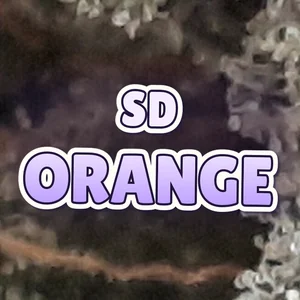 SD Orange Cannabis Strain