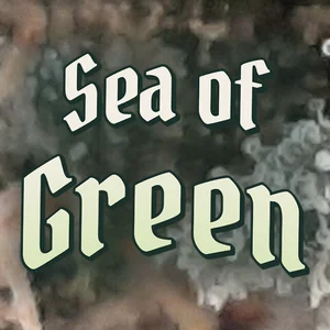 Sea of Green Cannabis Strain