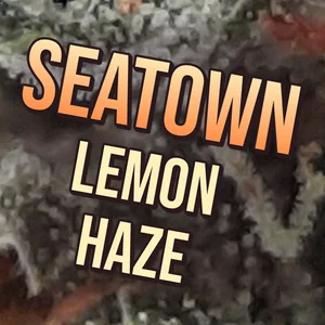 Seatown Lemon Haze Cannabis Strain