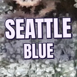 Seattle Blue Cannabis Strain