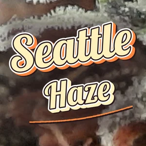 Seattle Haze Cannabis Strain