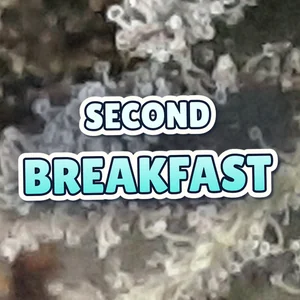 Second Breakfast Cannabis Strain