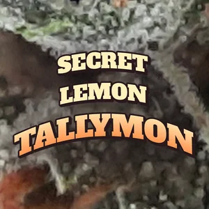 Secret Lemon Tallymon Cannabis Strain