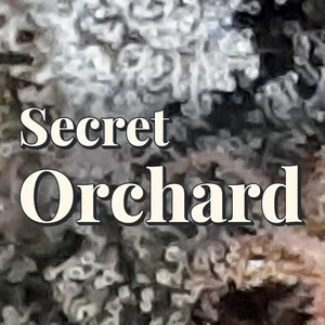 Secret Orchard Cannabis Strain