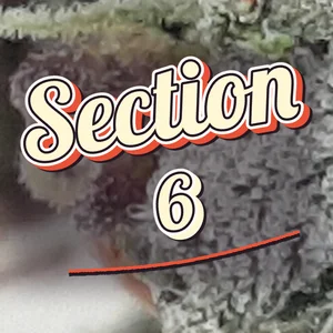 Section 6 Cannabis Strain