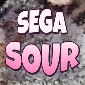 Sega Sour Cannabis Strain