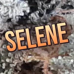 Selene Cannabis Strain
