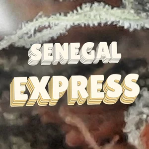 Senegal Express Cannabis Strain