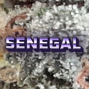 Senegal Cannabis Strain