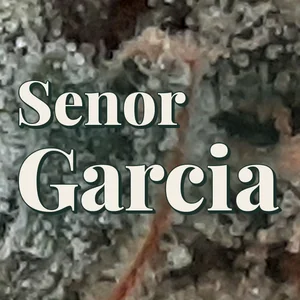 Senor Garcia Cannabis Strain