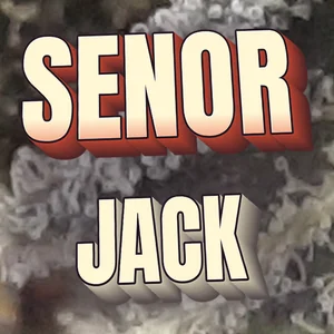 Senor Jack Cannabis Strain