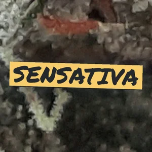 Sensativa Cannabis Strain