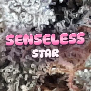 Senseless Star Cannabis Strain