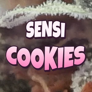 Sensi Cookies Cannabis Strain