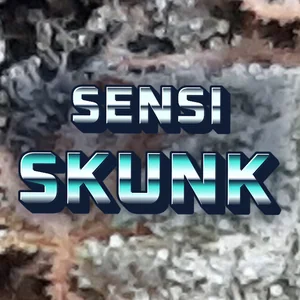 Sensi Skunk Cannabis Strain